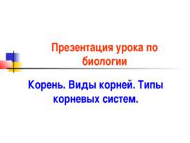 Корень. Виды корней. Типы корневых систем