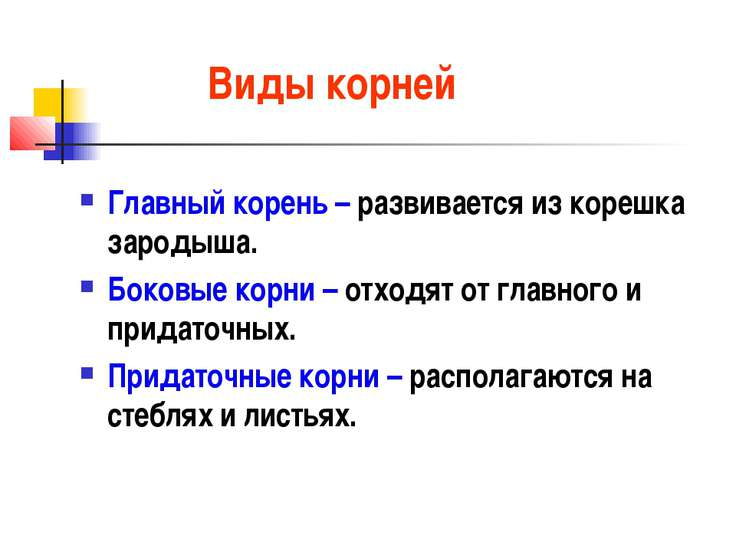 6 биологии тему на класс по корни реферат