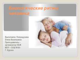 Биологические ритмы человека