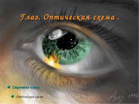 Глаз.Оптическая схема