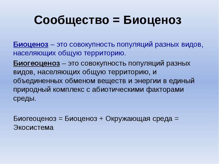 Виды сообществ. Сообщество биоценоз. Сообщество это в биологии. Понятие сообщество в биологии. Сообщество.