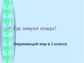 Где зимуют птицы?