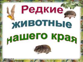 Редкие животные нашего края