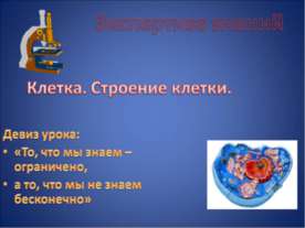 Клетка. Строение клетки
