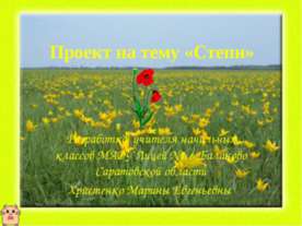 Степи 4 класс