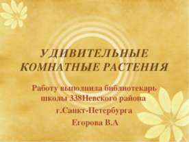 Удивительные комнатные растения