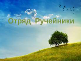 Отряд Ручейники
