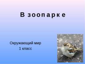 В зоопарке