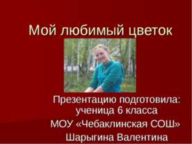 Традесканция