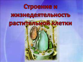 Строение и жизнедеятельность растительной клетки