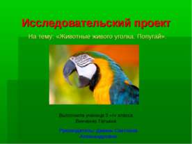 Животные живого уголка. Попугай