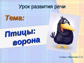 Птицы: ворона