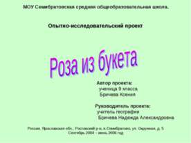 Роза из букета