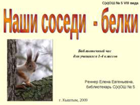 Наши соседи - белки