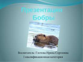 Бобры