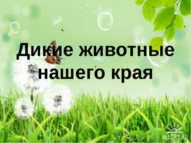 Дикие животные нашего края