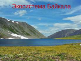 Экосистема Байкала