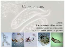 Саркодовые