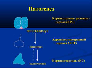 Патогенез Кортикотропин- рилизинг-гормон (КРГ) Адренокортикотропный гормон (А...