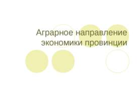 Аграрное направление экономики провинции