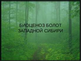 Биоценоз болот западной Сибири