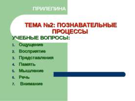 Познавательные процессы