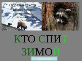Кто спит зимой