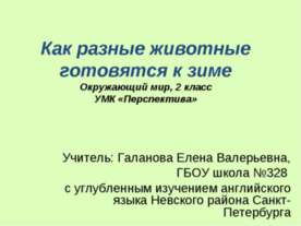 Как разные животные готовятся к зиме