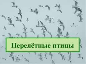Перелётные птицы