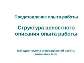 Структура целостного описания опыта работы
