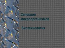 Селекция микроорганизмов. Биотехнология
