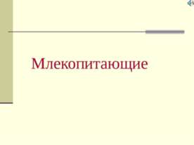 Млекопитающие