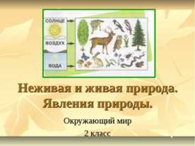 Неживая и живая природа. Явления природы