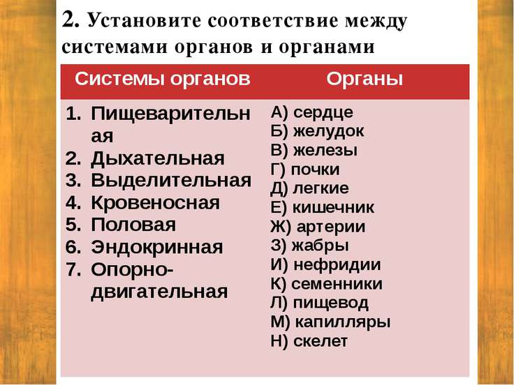 тест ткани органы система органов 6 класс