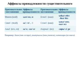 Аффиксы принадлежности существительного
