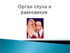 Орган слуха и равновесия