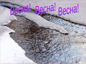 Изменение имён существительных по числам