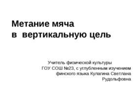 Метание мяча в вертикальную цель