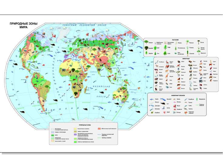 Карта природных зон мира с животными