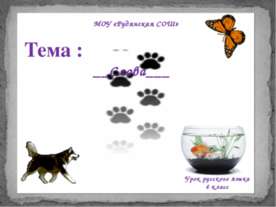 Слова