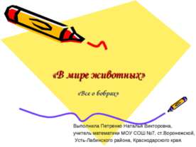 В мире животных. Всё о бобрах