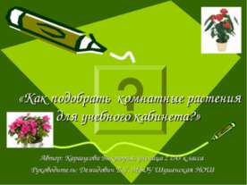 Как подобрать комнатные растения для учебного кабинета?
