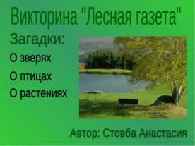 Лесная газета