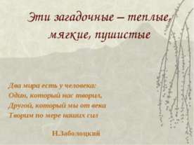 Эти загадочные – теплые, мягкие, пушистые