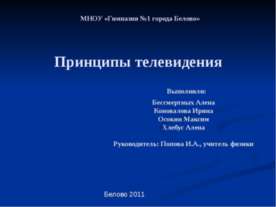 Принципы телевидения