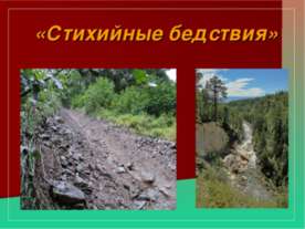 рыбы