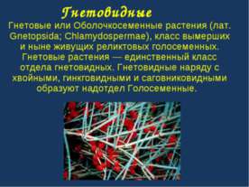 Гнетовидные