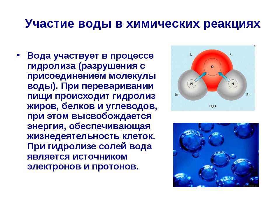 Роль воды в жизнедеятельности клетки. Роль воды в химических реакциях. Химические реакции с водой. Роль воды в химии. Молекула воды химия.
