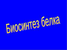Биосинтез белка