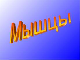 Мышцы